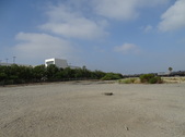 Enlarge photo 42