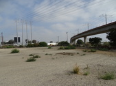Enlarge photo 45