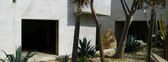 Enlarge photo 35
