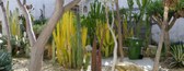 Enlarge photo 36