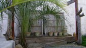 Enlarge photo 39
