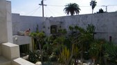 Enlarge photo 53