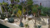 Enlarge photo 55
