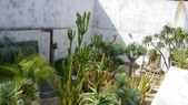Enlarge photo 61