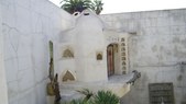 Enlarge photo 62