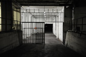 Enlarge photo 45