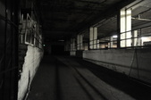 Enlarge photo 65