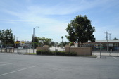 Enlarge photo 113
