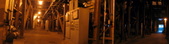 HYPERION PLANT