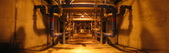 Enlarge photo 37