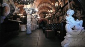 Medusa Lounge