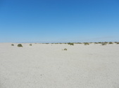 Clay Flats #1