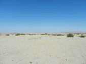 Holmes Camp