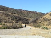 Enlarge photo 28