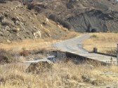 Enlarge photo 41
