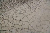 Enlarge photo 39