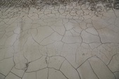 Enlarge photo 48