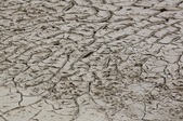 Enlarge photo 49