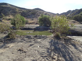 POND