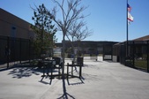 Enlarge photo 23