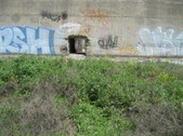 Enlarge photo 44