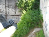 Enlarge photo 47