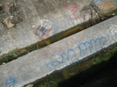 Enlarge photo 48