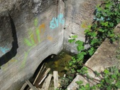 Enlarge photo 53