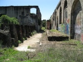 Enlarge photo 63