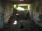 Enlarge photo 66