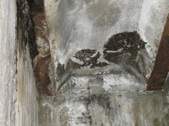 Enlarge photo 67