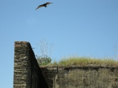 Enlarge photo 73
