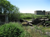 Enlarge photo 74
