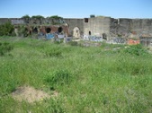 Enlarge photo 78