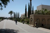 Enlarge photo 41