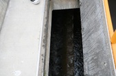 Enlarge photo 93