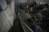 Enlarge photo 130