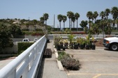 Enlarge photo 175