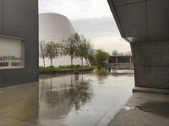 Enlarge photo 30