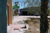 Enlarge photo 68