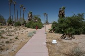 Enlarge photo 82
