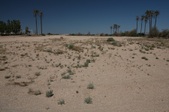 Enlarge photo 86