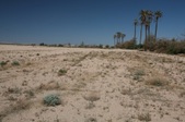 Enlarge photo 88