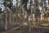 Enlarge photo 56