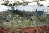 Enlarge photo 69
