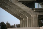 Enlarge photo 95