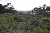 Enlarge photo 105