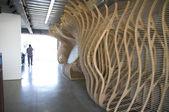 Enlarge photo 30