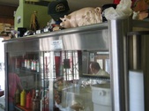 Enlarge photo 28