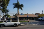 El Viejon